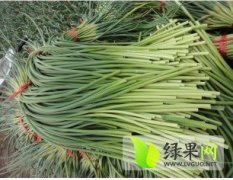 山东金乡蒜薹：羊山镇李伟