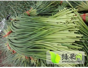 2014年山东金乡蒜薹价格