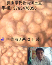 黑龙江讷河有大量克新13土豆批发 价格面议
