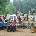 山东安丘双星西瓜：如有生瓜，一个换俩