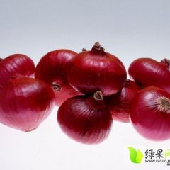 5月份开始是本地红皮洋葱大量上市的季节