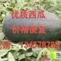 广西扶绥麒麟瓜已经开始出售