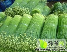 山东莘县韭菜苔大量上市