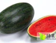 广西扶绥黑美人西瓜今日价格在0.9元/斤