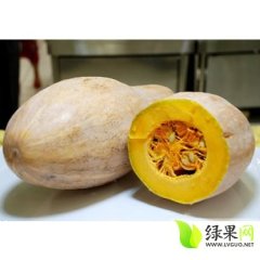 湖北嘉鱼密本南瓜：潘家湾李涛