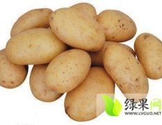 河南周口郸城县荷兰十五土豆已经成熟