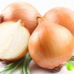 专业代收丰县地区的黄皮洋葱