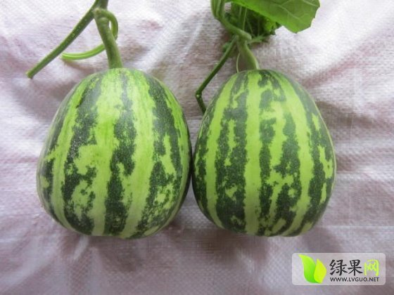 2014年河南滑县花龙蜜价格