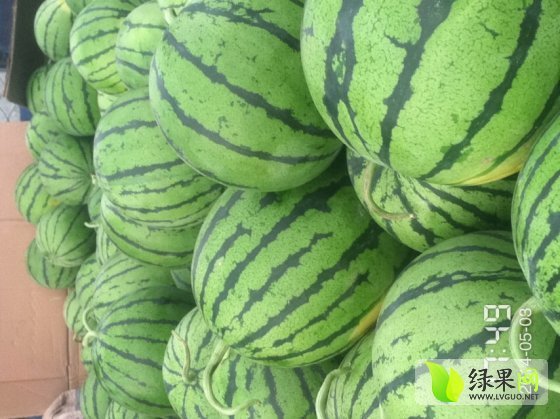 京欣价格