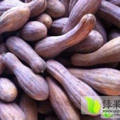 广西隆安金韩密本南瓜：那桐镇黄生