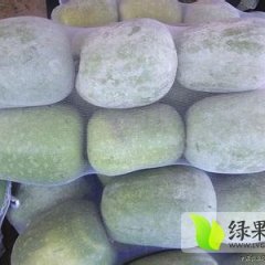 山东莘县大青皮冬瓜现有货大量供应