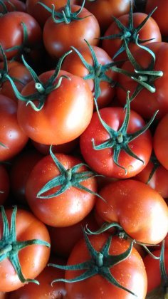 山东昌邑齐达利：都昌街办孙晓梅