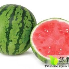甘肃灵台8424西瓜产地批发价格1.5元/斤
