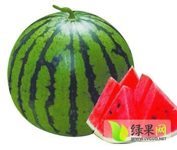2014年黑龙江北林地雷瓜价格