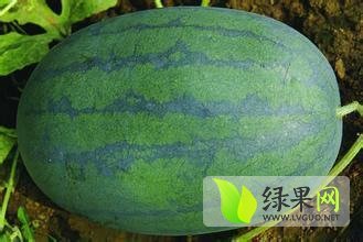 2014年河南睢阳龙卷风价格