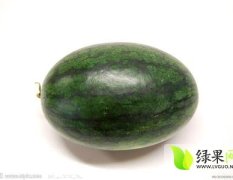 湖北宜城黑美人西瓜供应期持续时间长
