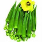 山东淄博黄秋葵：供应黄秋葵、济南黄秋葵