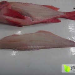 山东青岛市南供应大西洋红鱼