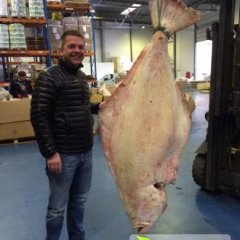 山东青岛市南格林兰大比目鱼：东海西马先生