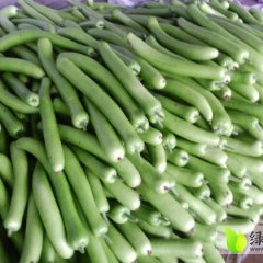 山东青州瓠子：东夏镇孙国梁