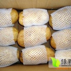 四川西昌会-2号土豆 价格可以随时商量