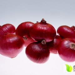 山东曲阜二红小洋葱：尼山镇孔老师