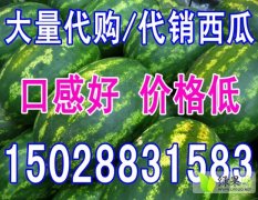 大量代购、代销西瓜