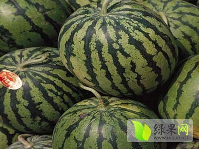 安农二号价格