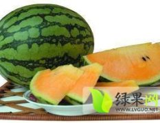 湖北宜城黑美人：南营办魏德海