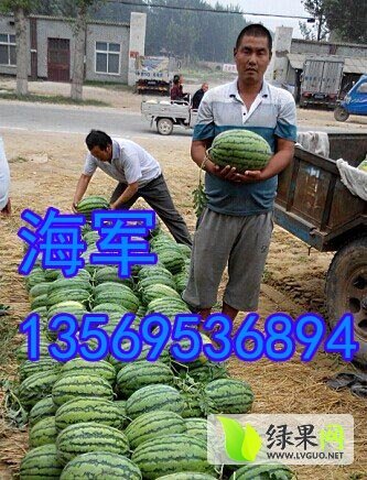 2014年河南开封京欣价格