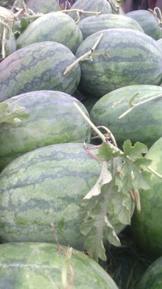 2014年河南尉氏京欣/龙卷风价格