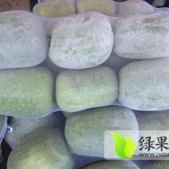 山东莘县铁冠军冬瓜：董杜庄山君