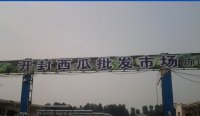 河南金明龙卷风西瓜批发大市场
