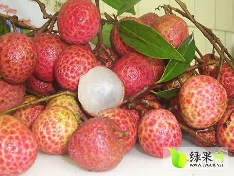 2014年广东阳西玉荷苞价格