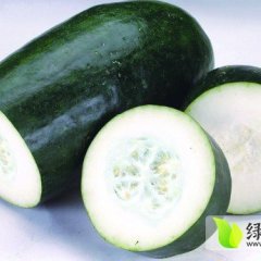 河南子弹头黑皮冬瓜：207国道王双双