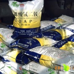 四川什邡磷酸二铵：马祖镇杨国东