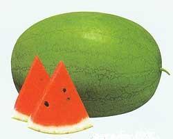 黄河滩西瓜大量上市价格低