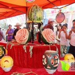 甘肃肃州西抗八号：下河清马振邦