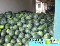 湖北宜城黑美人：板桥 湖北宜城
