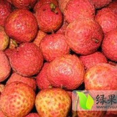 大量供应(玉荷包)