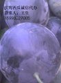 河南扶沟西瓜种植基地：大量供应有籽,黑皮无籽西瓜