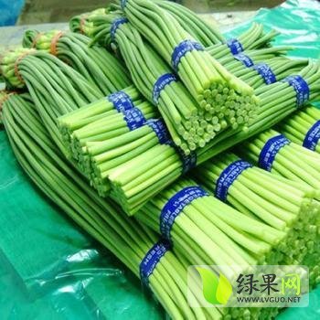 2014年山东莱西白帽蒜薹价格