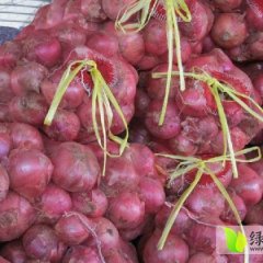 山东聊城的洋葱