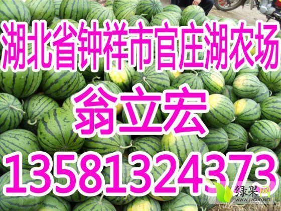 京欣价格