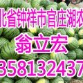 湖北钟祥京欣：官庄湖翁立宏