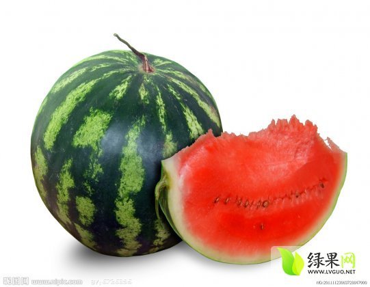 2014年陕西大荔东研9号价格