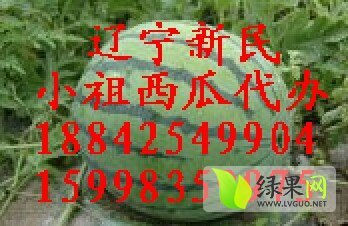 2014年辽宁新民京欣价格