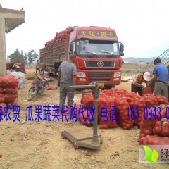 2015年新鲜红皮洋葱已经上市