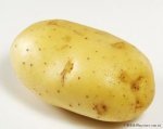 上海荷兰七号土豆价格稳定 货量增大