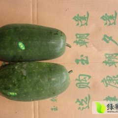 安徽颖上迷你小冬瓜：红星镇虞冀军